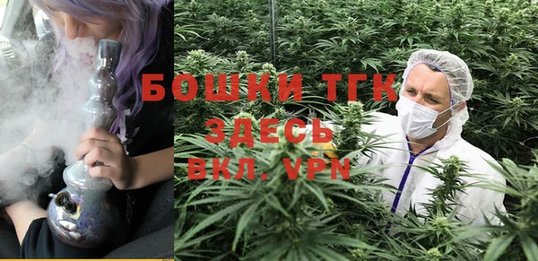бошки Алексин