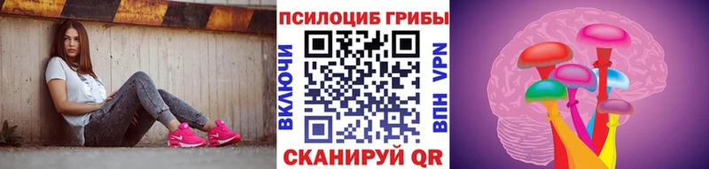 как найти закладки  Волгодонск  Псилоцибиновые грибы Psilocybe 